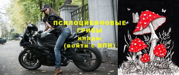 тгк Абаза