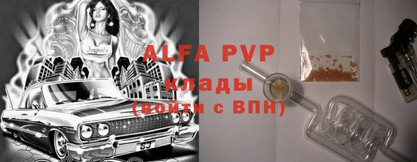 тгк Абаза